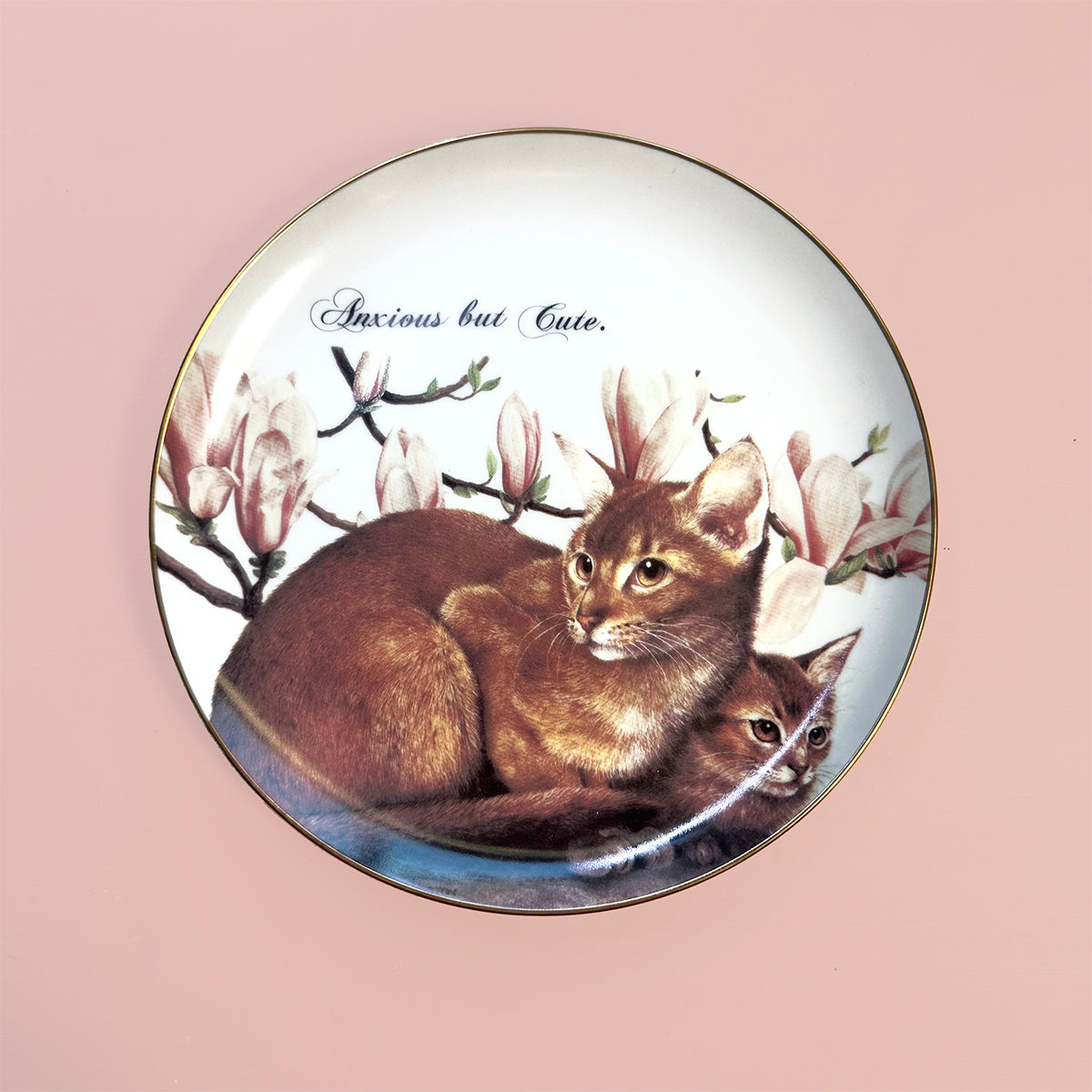 Vintage Art Plate - Cat plate - "Anxious but Cute"