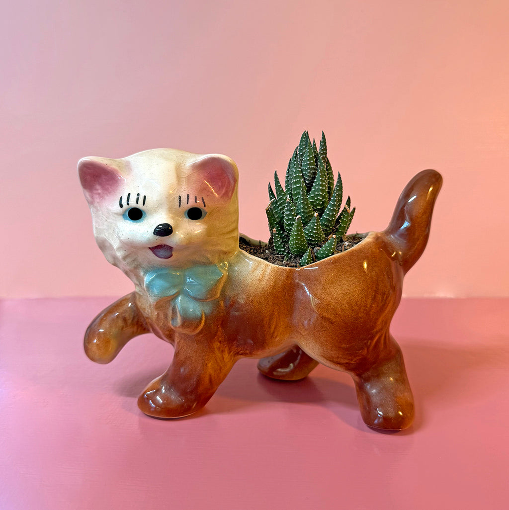 VINTAGE CAT PLANTER WITH ZEBRA SUCCULENT