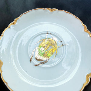 VINTAGE SAUCER PLATE - GOLD BUG