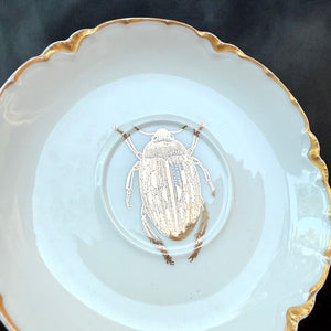 VINTAGE SAUCER PLATE - GOLD BUG