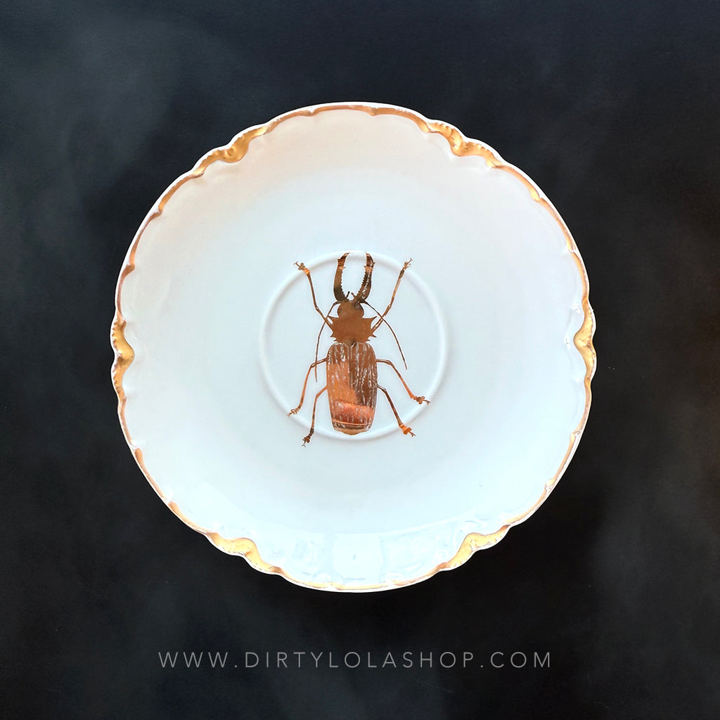 VINTAGE SAUCER PLATE - GOLD BUG
