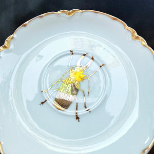 VINTAGE SAUCER PLATE - GOLD BUG