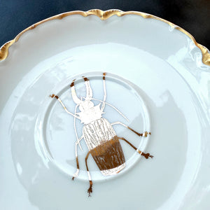 VINTAGE SAUCER PLATE - GOLD BUG