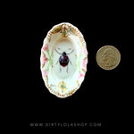 ANTIQUE TINY TRINKET DISH - MINI ALTAR TRAY - INSECT