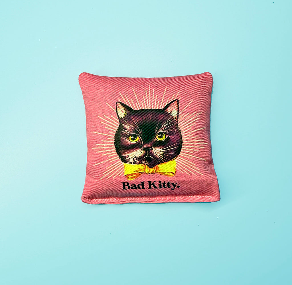CATNIP TOY - GOOD KITTY - BAD KITTY