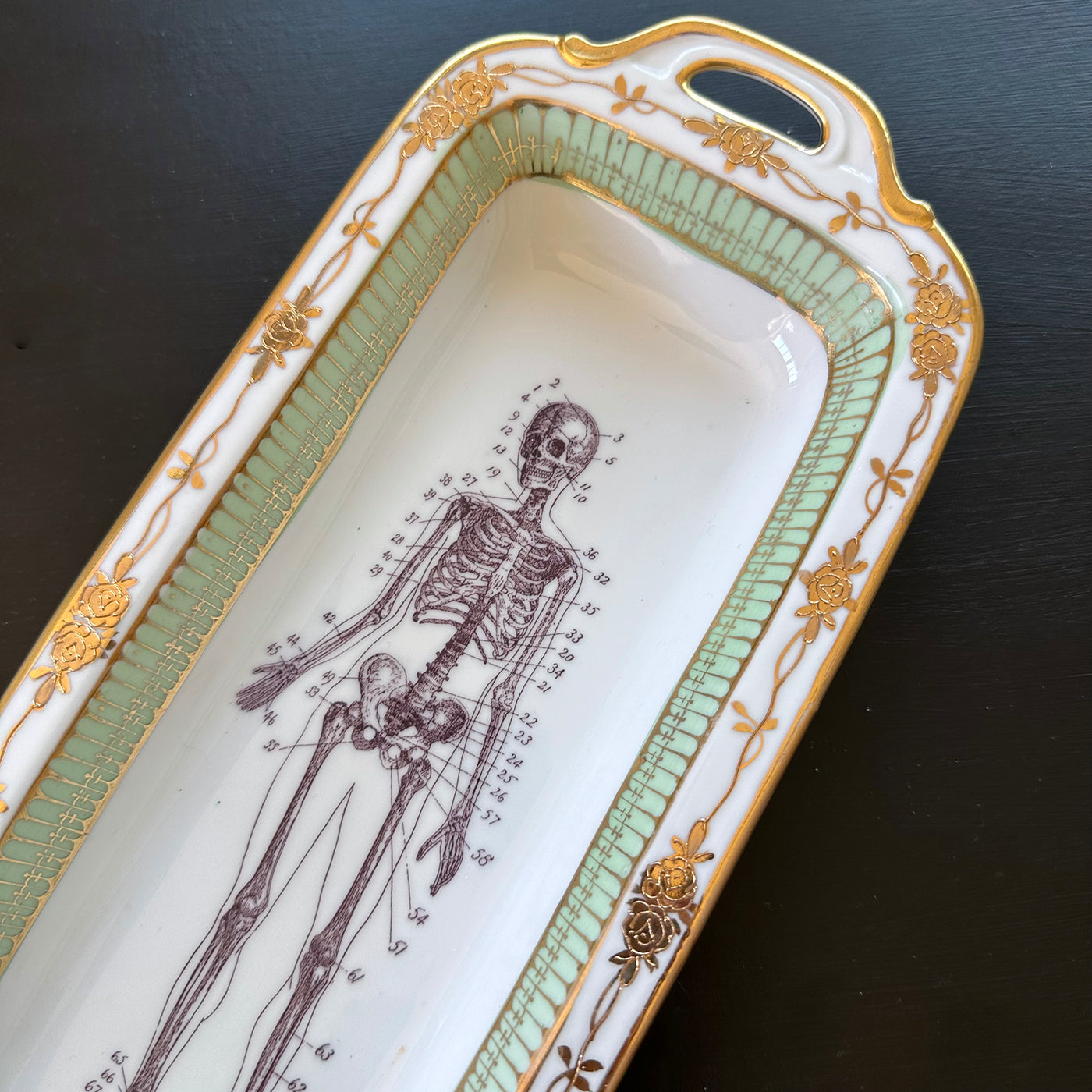 Antique Vanity Tray - Oddities - Skeleton