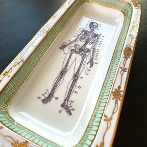 Antique Vanity Tray - Oddities - Skeleton