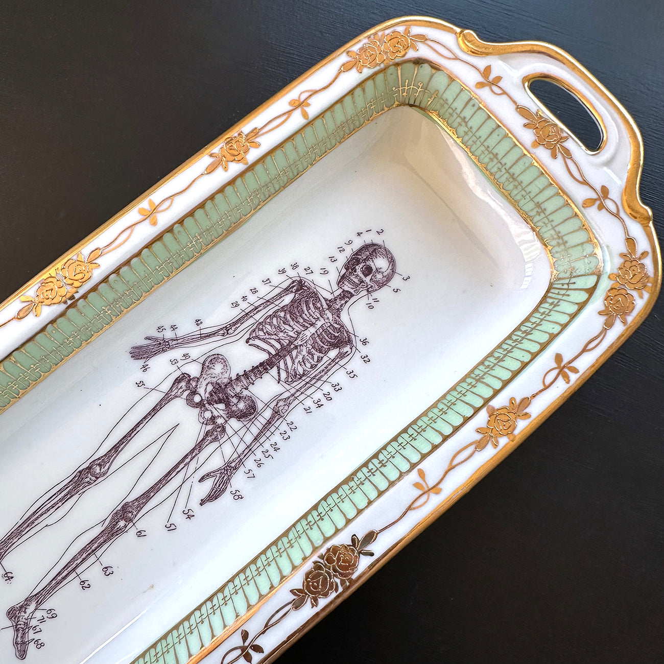 Antique Vanity Tray - Oddities - Skeleton