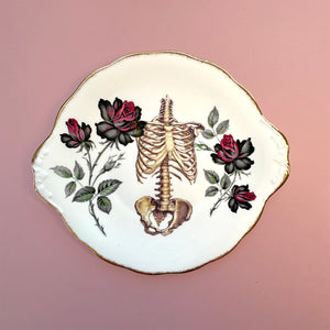 Antique Plate - Oddities Decorative Plate - Ribcage