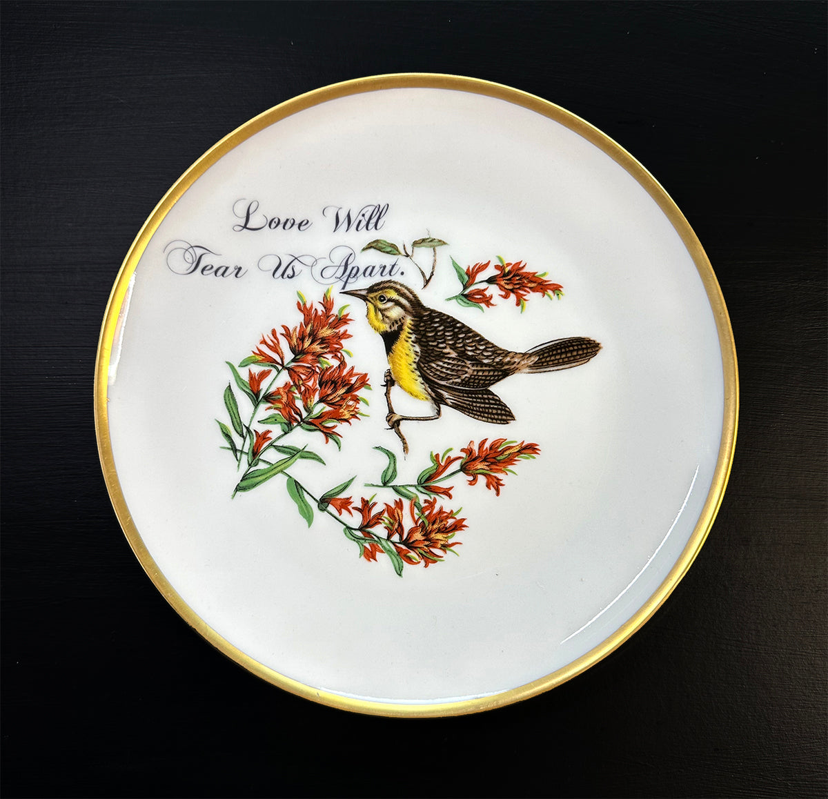 Vintage Art Plate - Honest Birds - Snarky Bird - "Love Will Tear Us Apart."
