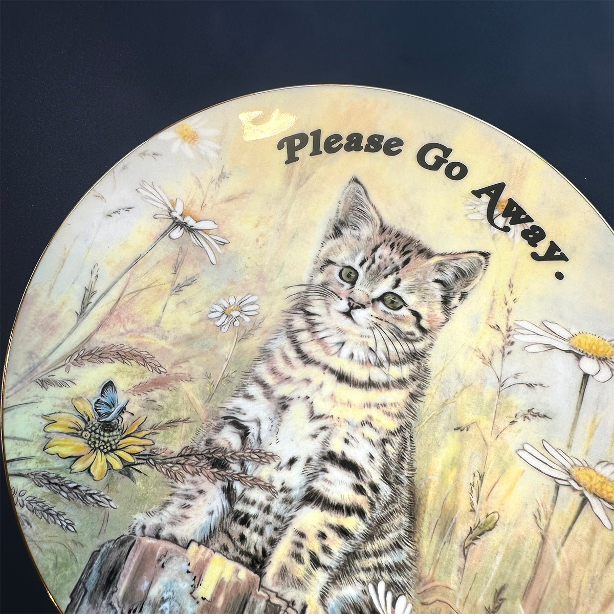 Vintage Art Plate - Cat plate - "Please Go Away"