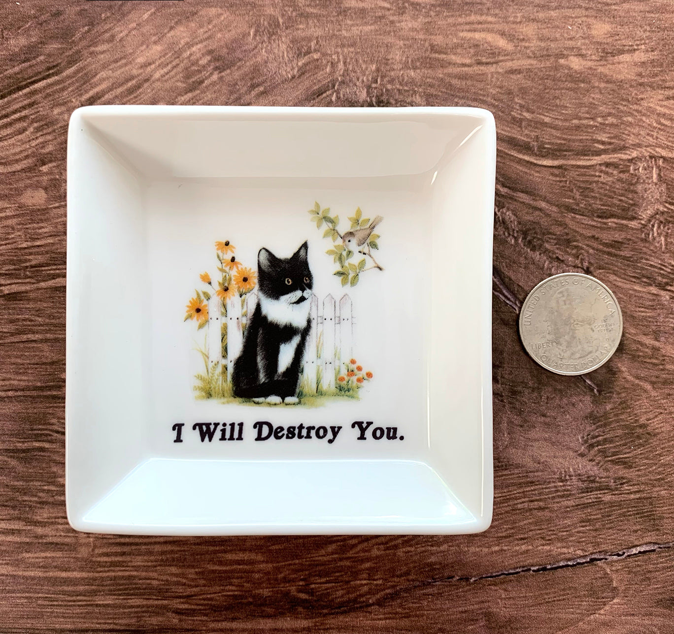 CAT SMALL MINI Trinket Tray - "I Will Destroy You."